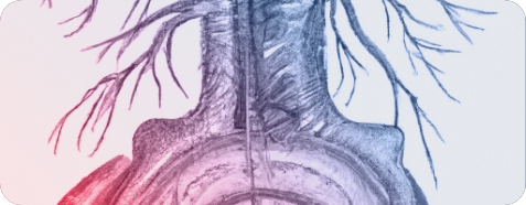 Device to Diagnose TCS