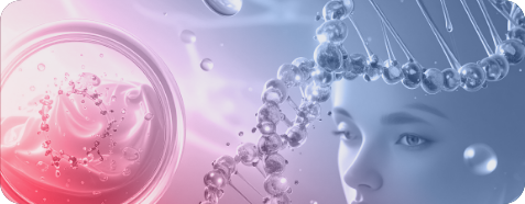 Hyaluronic Acid Binding Peptides As Therapeutics and Cosmetics