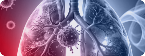 Therapy of Respiratory Diseases by Targeted Nanoparticles Delivering Small Molecules and Oligonucleotides